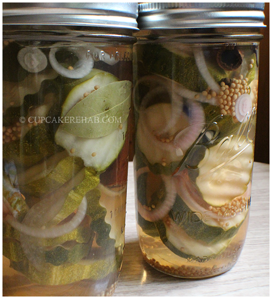 Quick sweet pickles! No canning required.