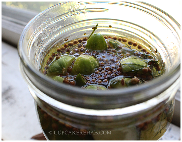 Kosher dill pickle recipe, 3-6 days to ferment.