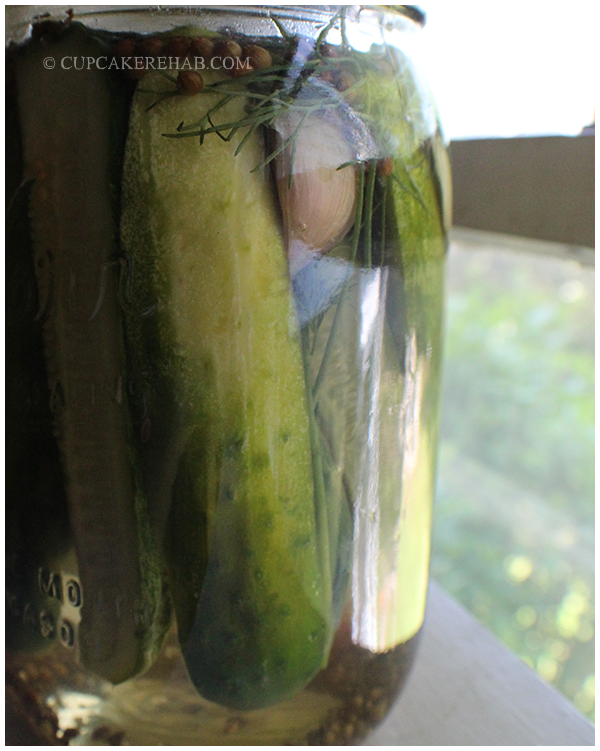 Easy Kosher dill pickle recipe- no canning required.