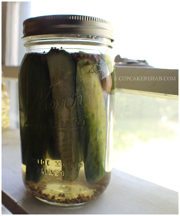 How to make Kosher dill pickles at home! NO CANNING NEEDED!