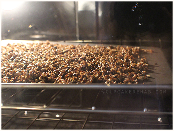 Spent brewing grain, drying in the oven (click through for cracker recipe).