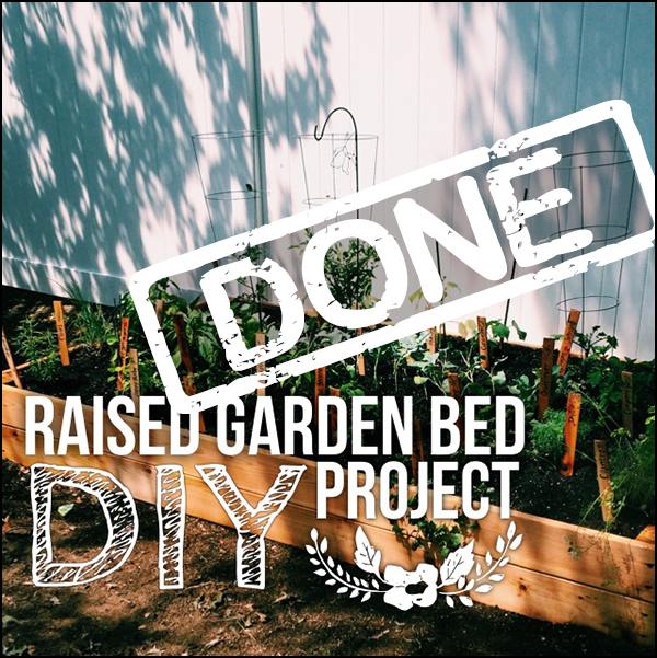 Raised garden bed DIY: DONE!