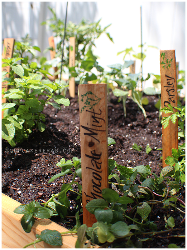 Raised garden bed DIY: how to label plants!