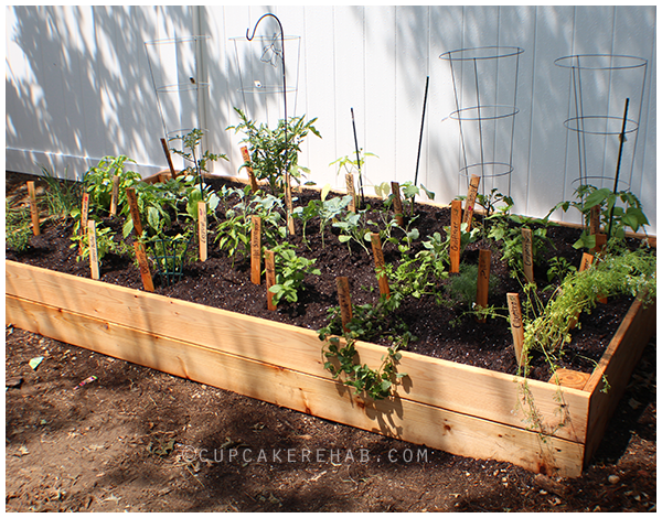 Finished raised garden bed! Click through for instructions!