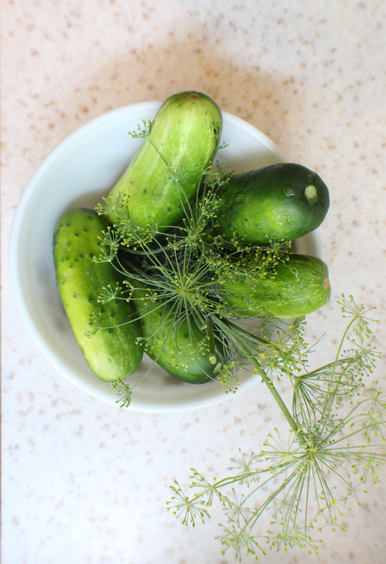 Cucumber garden harvest- prepped for making hop pickles.