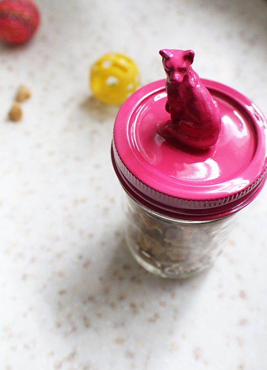 Brown rice & catnip cat treats and a DIY gift jar.
