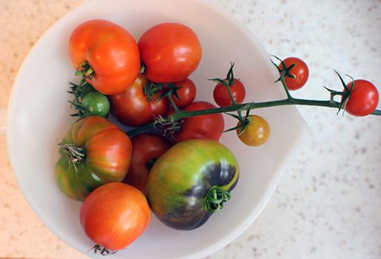 Garden tomatoes.